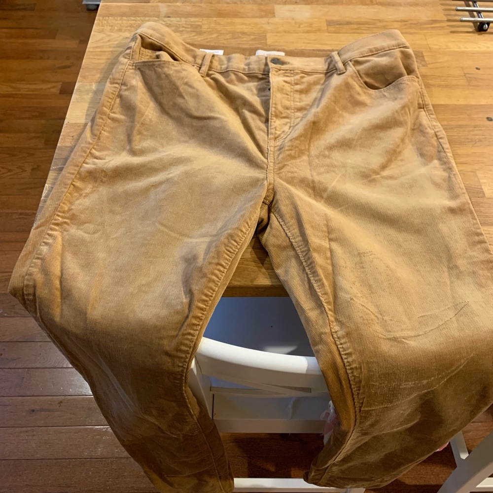 Loft Outlet corduroy pants